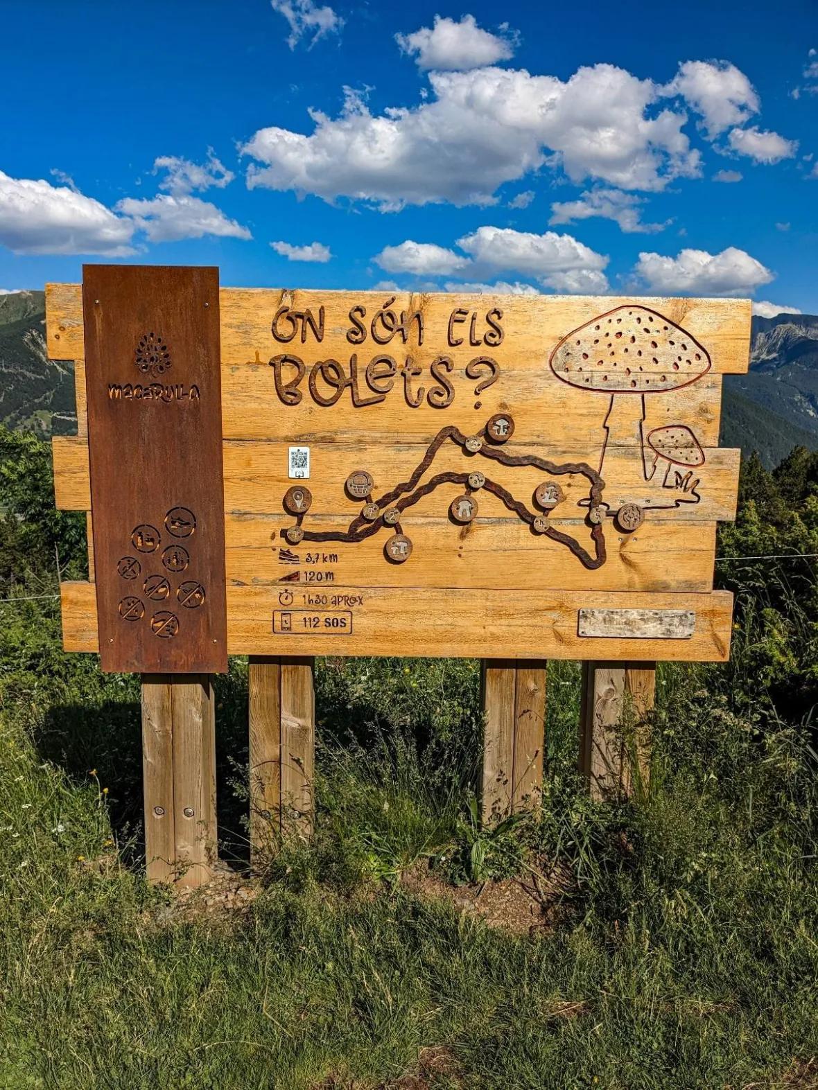 On són els bolets?